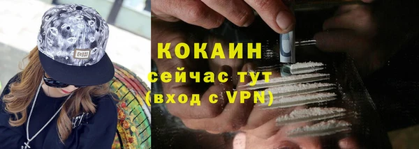 молекула духа Нея