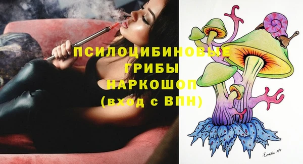 молекула духа Нея