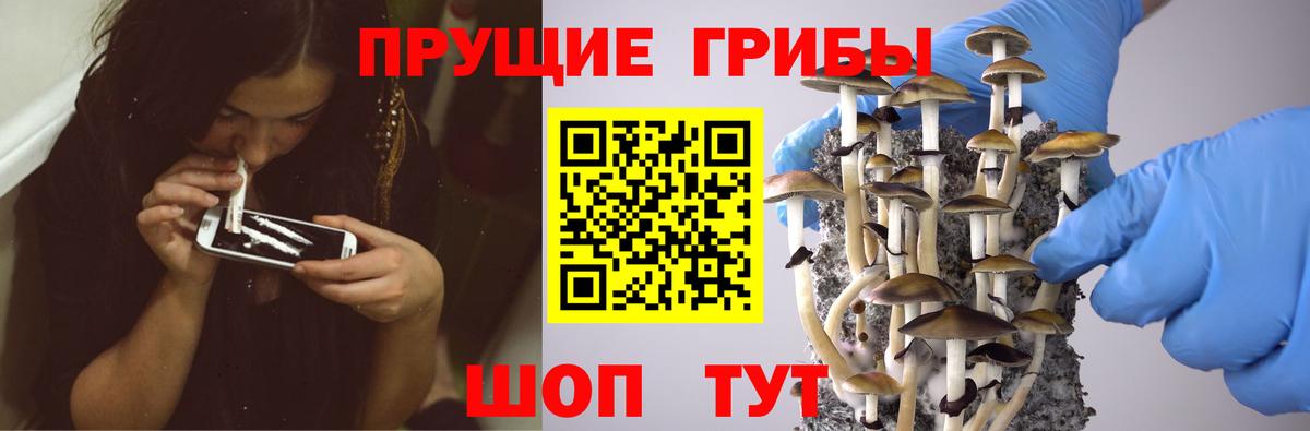 Галлюциногенные грибы GOLDEN TEACHER  Назрань  Псилоцибиновые грибы мухоморы 